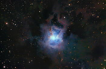 NGC 7023, Iris Nebula, cosmic dust, vivid capture, stars, telescope photo, nebula, space, astronomy, celestial, galaxy