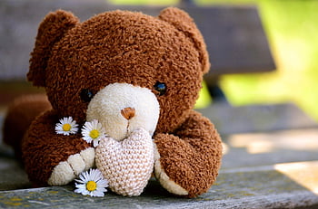 teddy, Medvídek, mazlící hračka, vycpané zvíře, srdce, milovat, přátelství, Datum narození, plyš, vše nejlepší ke dni matek, malý medvěd
