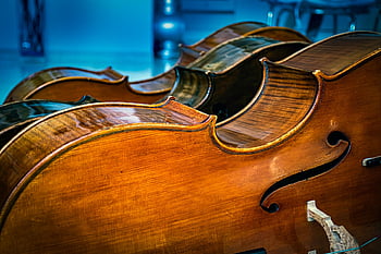 cello, musical Instrument, performance, concert, violin, classical Music, coming Soon, strings, viola, bass, classic
