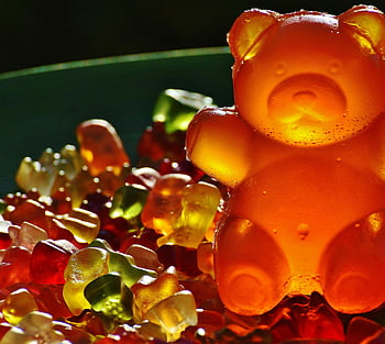 gummy bears, closeup photography, vibrant colors, outdoor setting, sunlight, textures, candy, sweet treats, colorful gummies, bear-shaped candies, nature light