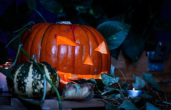 halloween, background, autum, scary, horror, pumpkin, candle Light, dark, helloween