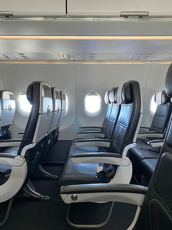 airplane seats, black and gray seats, modern seating, spacious cabin, empty rows, aircraft interior, airline cabin, travel comfort, passenger seats, airplane windows, cabin design