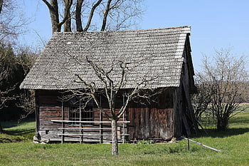 cabane en bois, Grange, cabane, pellicules, vieux, rural, la nature, agriculture, grange de champ, cour de ferme, paysage