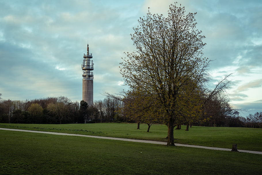 evening, family, Heaton Park, Greater Manchester, Manchester, places, metal wood, 20210407, tower, trees, pathway