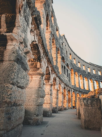 Colosseum, Rome, ancient architecture, warm daylight, majestic building, gray concrete, brown concrete, historical site, Italian landmark, outdoor structure, ancient ruins