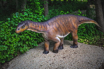 dinosaurus, dinosauří park, Příroda, Modelka, prehistorie, prehistorický, zvířat, dravec, gad, zuby, nebezpečný
