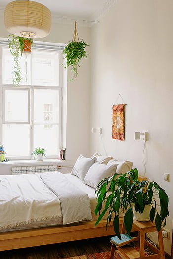 chambre moderne, plantes en pot, fenêtre brillante, chambre contemporaine, plantes vertes luxuriantes, intérieur brillant, chambre confortable, design d'intérieur, plantes suspendues, lit en bois, lumière naturelle
