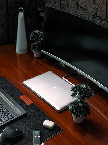 il computer portatile, Monitoraggio del computer da scrivania, installazione dell'ufficio, scrivania di legno, gadget, piante, Ufficio elegante, schermo del computer, accessori da scrivania, spazio di lavoro, arredamento per ufficio