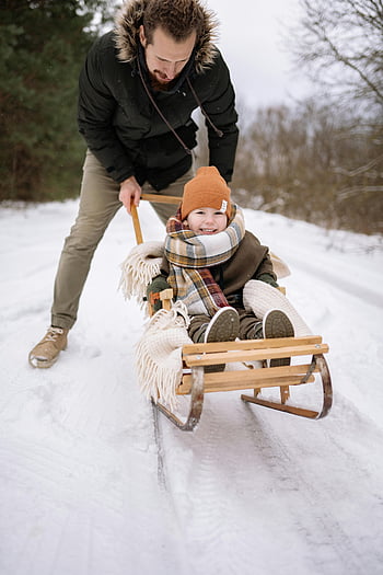 padre, figlio, slitta, inverno, all'aperto, divertimento, la neve, spingendo, famiglia, attività, freddo
