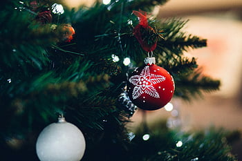 albero di Natale, ornamento rosso, Design del fiocco di neve, decorazione festiva, avvicinamento, stagione delle vacanze, ramo di un albero, vacanze invernali, decorazioni natalizie, Dettagli ornamenti, rosso festoso