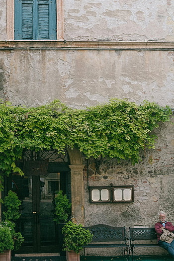 facciata dell'edificio, piante verdi, Entrata, facciata rustica, vecchio edificio, edera, persona seduta, panchina, fascino senza tempo, architettura vintage, scena all'aperto