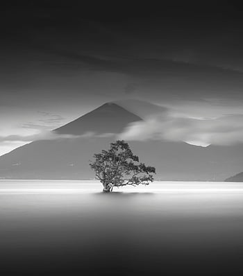 grayscale photo, tree, calm waters, mountain backdrop, monochrome scene, solitary tree, landscape photography, black and white, nature scene, serene environment, long exposure