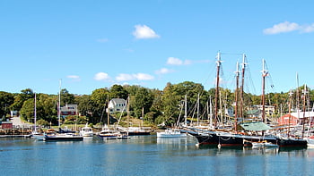 Porto di Camden, porto, natura, Barche, barche a vela, porta, baia, mare, camden, Maine