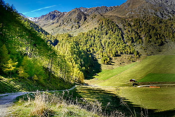 pista, escursione, capanna, valle, montagna, foresta, tirolo, Italia, natura, paesaggio, Alpi