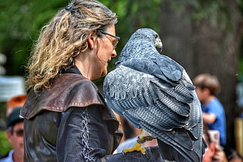 eagle, nature, bird, falconer, raptor, exhibition, chateau, middle Ages, historical, legendary, festival