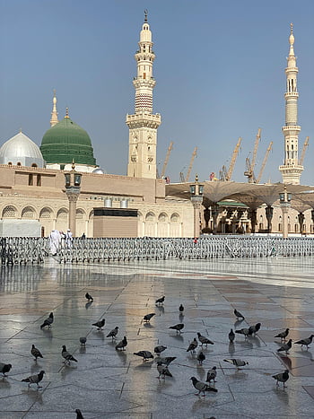 Moscheea Phets, Arabia Saudită, medina, islamice, porumbei, Moscheea Profetului, minarete, domul verde, curte, Sit religios, Orientul Mijlociu