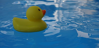 squeaky Duck, rubber Duckies, bath Duck, water, blue Yellow, background, infant, baby Toy, rubber Duck, toy, children