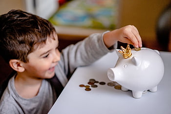 peníze, banka, finance, Uložit, prasátko, mince, prase, měna, investice, hotovost, úspory