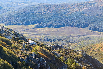 vagga berg, berg, landskap, se, skog, tasmania, natur, vista