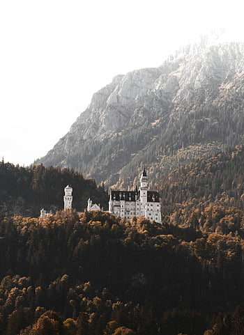 neuschwanstein hrad, bavorské Alpy, podzimní listí, Německo, hora, zelené stromy, Majestic hrad, mlhavé krajiny, Evropský hrad, pohled, Přírodní krásy