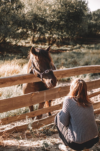 häst, flicka, natur, ranch, staket, djur-, däggdjur, häst-, bruka, lantlig