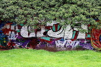 arta stradală, artă, pictură, arta urbană, perete, Street Art Köln, natură, Koln, graffiti
