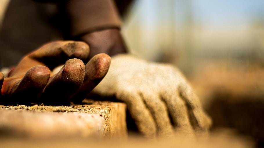 gardening, nature, garden, gloves, plants, flower