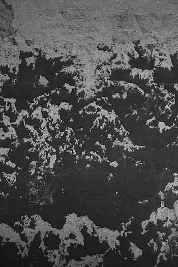 黒と白の要約、 抽象的な背景、 複雑なテクスチャー、 黒と白のテクスチャー、 壁のテクスチャ、 自然なパターン、 抽象的な壁、 黒と白、 抽象芸術、 モノクロアブストラクト、 抽象的な風景