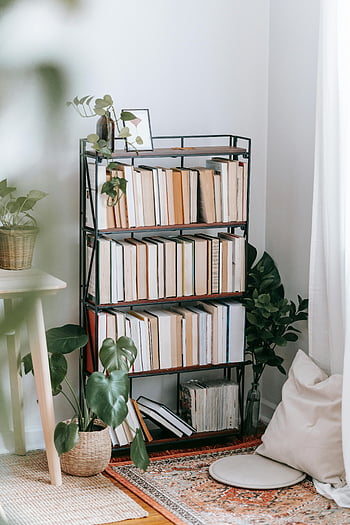 Bücherregal, sortierte Bücher, tropische Pflanzen, Heimbibliothek, Zimmerpflanzen, warme Ecke, Raum einladend, Wohnkultur, Gemütliche Lesende, üppiges Grün