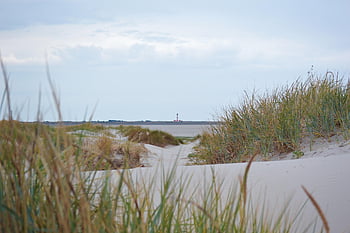 dune Landscape, beach, west Hever Lighthouse, north Sea, north Sea Coast, coast, schleswig-holstein, vacations, sand Dunes, sand, nature