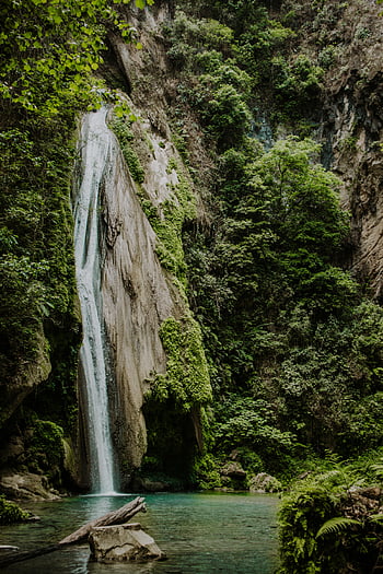 waterfall, rock, vibrant greenery, San Juan del Rio, Mexico, serene landscape, natural landscape, vertical waterfall, lush vegetation, clear water, forest setting