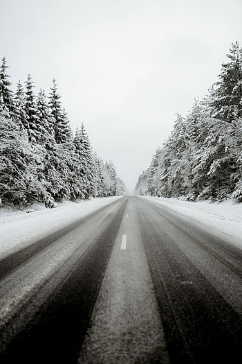 zasněžené silnici, zimní scény, zasněžený les, prázdné silnici, Snowy Evergreen Trees, zatažená obloha, klidná zima, zimní krajina, lesní cesta, zimní les