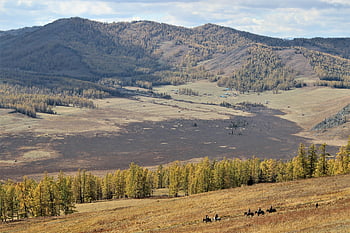 xinjiang China, china, landscape, nature, autumn, 中国新疆, 秋季, 中国