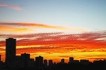 シティ、 日没、 空、 建物、 活気に満ちた、 太陽、 風景、 地平線、 旅行、 夏、 夕暮れ