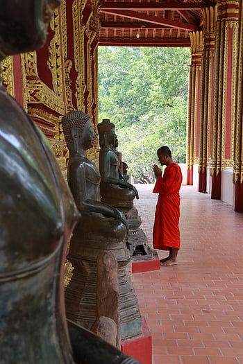 buddhista szerzetes, imádkozás, wat xieng tanga, templom, luang prabang, Laosz, szobrok, vörös köpeny, vallási, belső, építészet