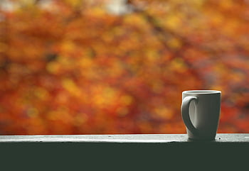 background, happy Birthday, autumn, beautiful Wallpaper, coffee, cool Backgrounds, wallpaper Hd, fall, trees, mug, desktop Backgrounds