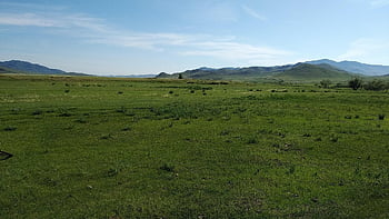 平野、 フィールド、 谷、 自然、 風景