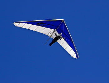 hang gliding, blue sky, outdoor adventure, thrilling sport, air glider, blue and white, person flying, vivid blue, extreme sport, adventure sport, sky gliding