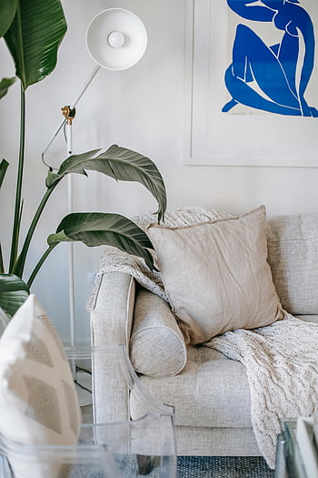 modernes Sofa, grüne Pflanze, abstrakte Kunst, minimalistische Einstellung, Styles Wohnzimmer, weißes Sofa, Gemütliche Kissen, Inneneinrichtung, zeitgenössische Möbel, Wohngebäude, Wohnraum