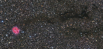 Nebulosa bozzolo, IC5146, barnard 168, Cygnus, astro, AstropixelProcessor, QHY16200, Knight Observatory, tomar, coda scura, Refrattatore ESPRIT 100