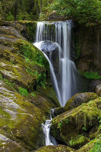 vandfald, naturskøn udsigt, mosklædte klipper, Verdant Forest, Tranquil vandfald, kaskende vand, skov indstilling, naturlandskab, udendørs sceneri, grønne, vand funktion