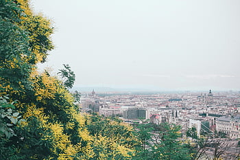 Budapest cityscape, Gellért Hill, historic architecture, lush greenery, scenic view, picturesque view, city from hill, urban landscape, European city, Hungarian architecture, panoramic view