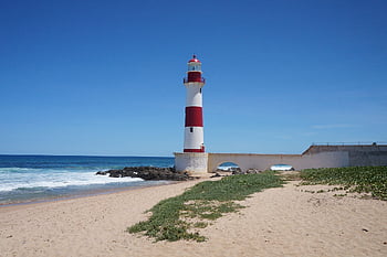 ชายหาด, ซัลวาดอ, บราซิล, Bahia, ทำลาย, ทะเล, แดดจัด, มหาสมุทร, การท่องเที่ยว