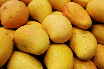 fresh yellow mangoes, vibrant mangoes, ripe mangoes, tropical sweetness, summer freshness, pile of mangoes, fresh fruit, yellow fruit, tropical fruit, summer fruit, mango pile