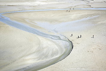 mont st michel, Franţa, Normandia, mare, dafin, peisaj, natură, nisip