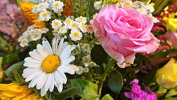 flowers, bouquet, floral Arrangement, nature, bloom, roses, daisies