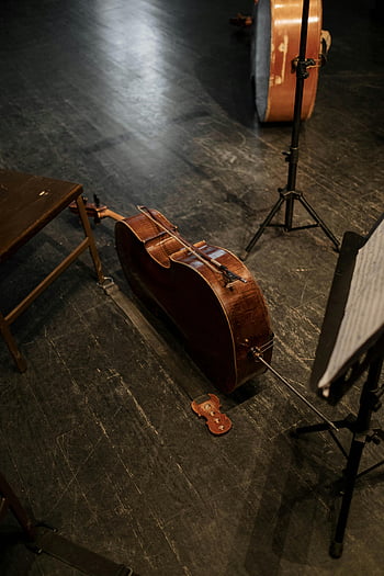 cello marrón, piso, música clásica, escenario, actuación, instrumento musical, atril, taburete, contrabajo, instrumento de cuerda, soporte para violonchelo