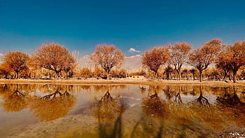 lake, trees In Autumn, autumn Season, nature, landscape, skardu