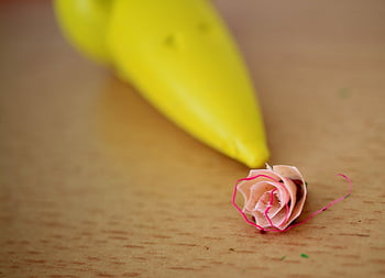 sharpen, tips On, sharpener, wood, span, wood Chip, awake Mouse, yellow, crayon, pen, to Paint