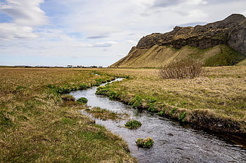 stream, brook, field, meadow, mountain, tundra, grassland, grass, nature, outdoors, scenic
